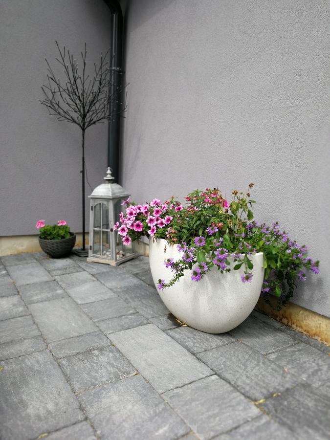 Zsinko Villa Pécs Zewnętrze zdjęcie
